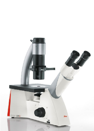 Bez tytulu Mikroskop Leica DMi1 Mikroskop Leica DMi1
