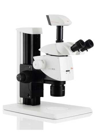 M125 d Mikroskop stereoskopowy Leica M125 Mikroskop stereoskopowy Leica M125
