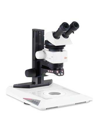 M80 d Mikroskop stereoskopowy Leica M80 Mikroskop stereoskopowy Leica M80