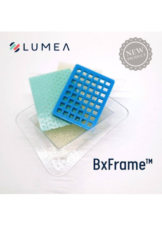 LUMEA BX FRAME (2)